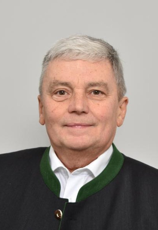 Johann Schneglberger